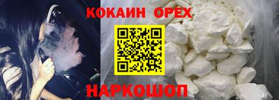 гашик Тара