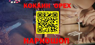 гашик Тара