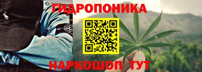 гашик Тара
