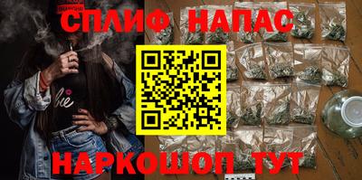 гашик Тара