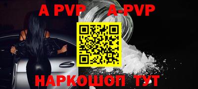 гашик Тара