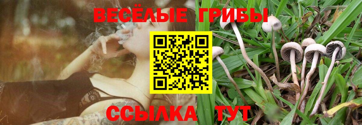 Галлюциногенные грибы мицелий Назарово